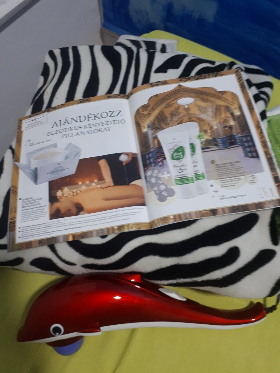 studio wellness spa u vili natali u kikindi