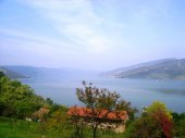 Donji Milanovac
