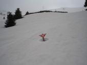 Kopaonik