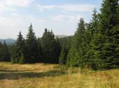 Kopaonik