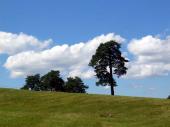Zlatibor