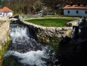 Pribojska banja