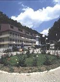 Gornja Trepča