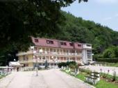 Gornja Trepča