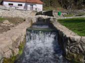 Pribojska banja