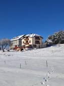Apartmani Trtovic
