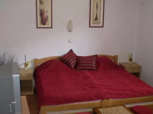 Vila Milica Banja Vrujci