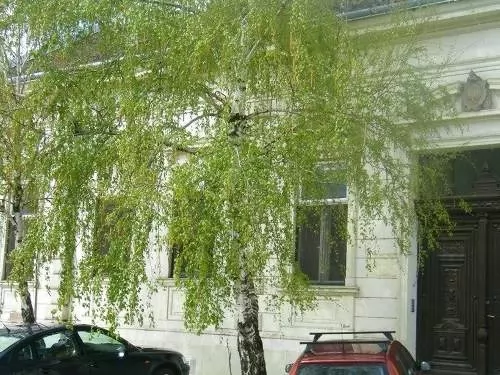 Vila Filadelfija Zrenjanin