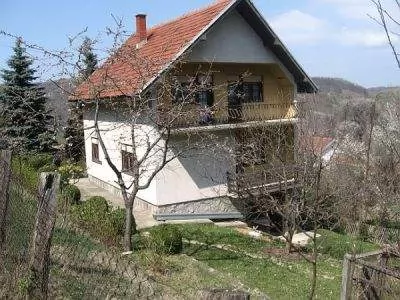 Domacinstvo ILIC Rudnik