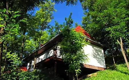 Ranc PLATAN Banja Vrdnik