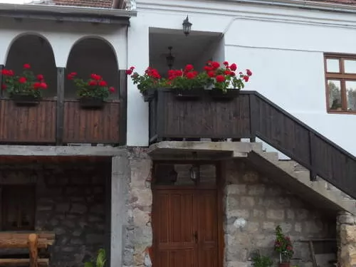 Vila BOGDANOVIC Stara planina