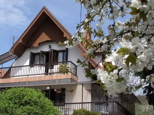 Domacinstvo GULIC Brestovačka banja