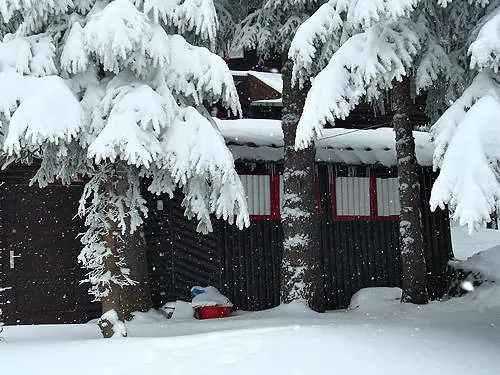 Apartman VOJKAN Kopaonik