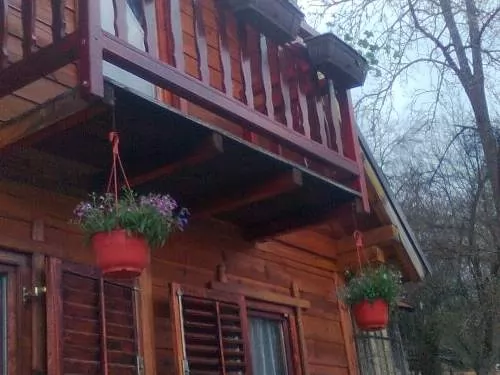 VIKENDICA selo Mokra Gora