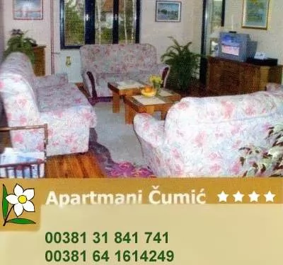 Zlatibor- apartmani ČUMIĆ Zlatibor