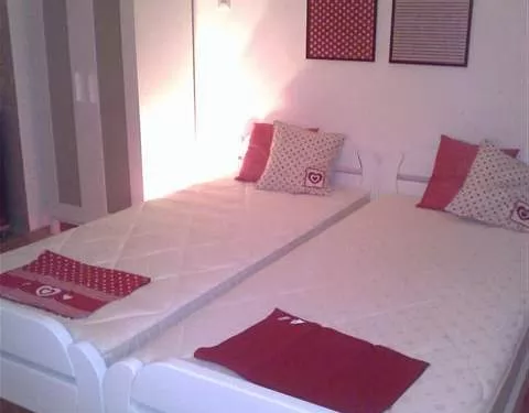 Apartmani Biljana Banja Vrdnik