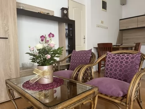 Apartmani D Leskovac
